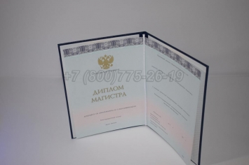 Диплом Магистра 2015г ООО "Знак" в Ижевске