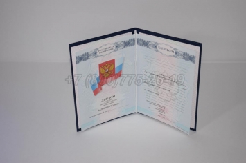 Диплом Колледжа 2009г в Ижевске