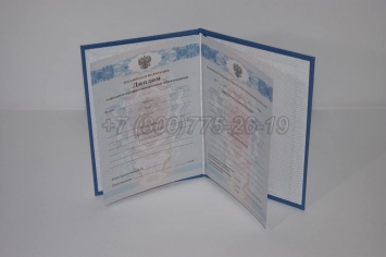 Диплом Колледжа 2011г в Ижевске