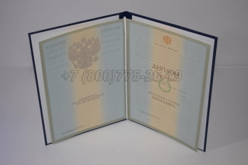 Диплом Бакалавра 2006г в Ижевске