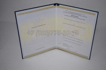Диплом о Переподготовке 2015г РУДН в Ижевске