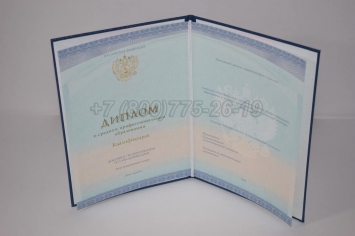 Диплом Колледжа 2018г СпецБланк в Ижевске
