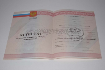 Аттестат За 11 Класс 2011г в Ижевске